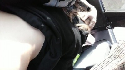 Public Car BJ Adventure
